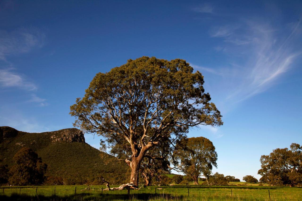 Dunkeld Studio Accommodation Bagian luar foto